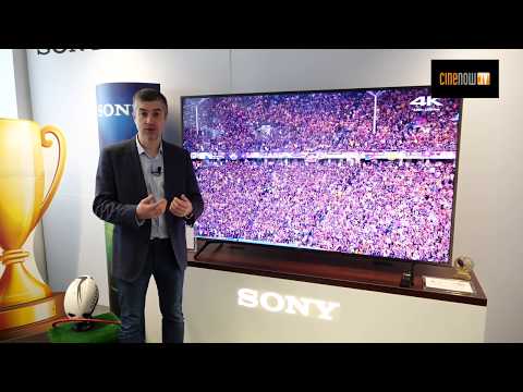 Sony TV 2020 : KD-85XH8096, KD-75XH8096, KD-65XH8096, KD-55XH8096 et KD-49XH8096